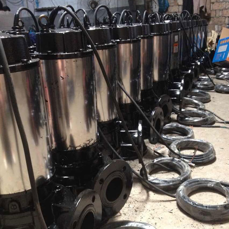 JPWQ不锈钢套筒自动搅匀排污泵产品图片2