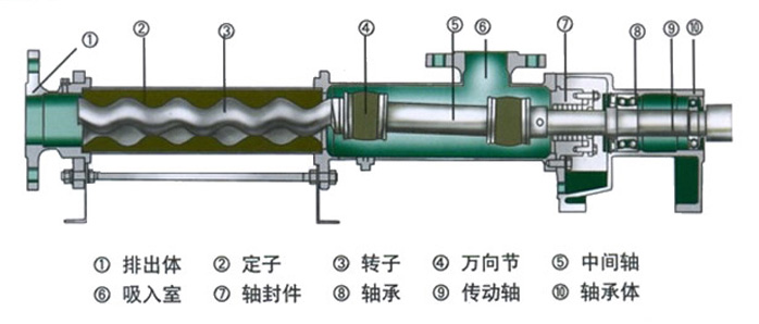 G型卧式单螺杆泵内部结构图